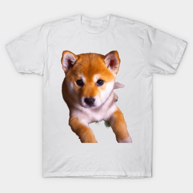 Shiba Inu Love: A Forever Thing T-Shirt by ProTee's